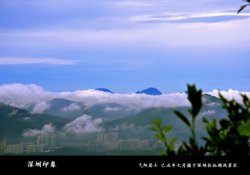 赵无极：晚年坐拥数十亿元画作，却引妻儿争夺，至死官司仍未打完