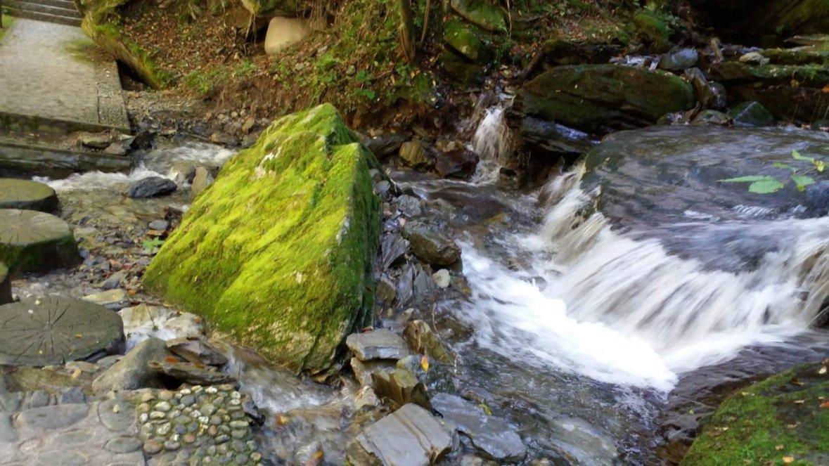 海淀青年号,驶向“繁花”深处……